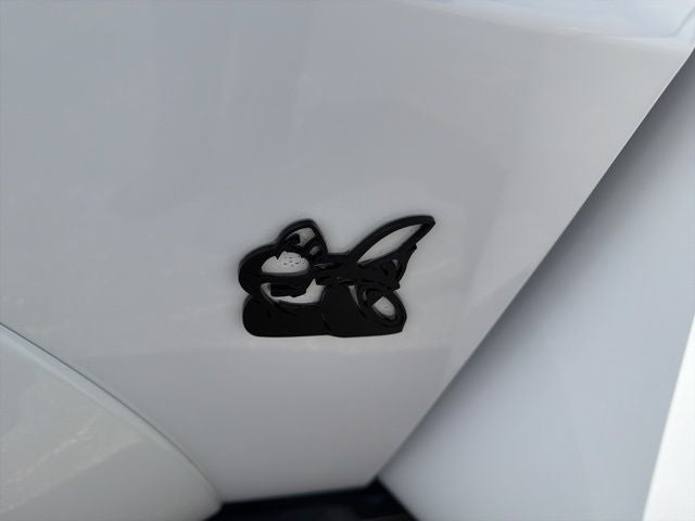 2020 Dodge Challenger R/T Scat Pack Widebody