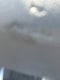 2021 Hyundai Santa Fe Calligraphy